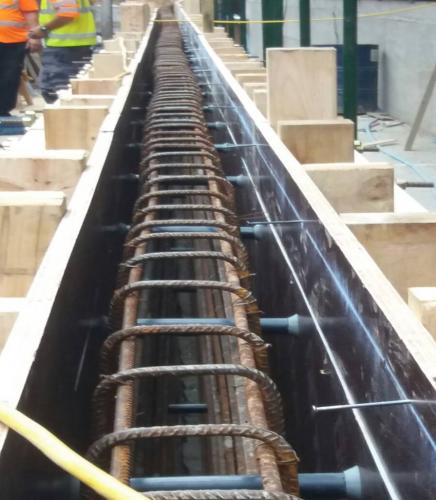 willow4